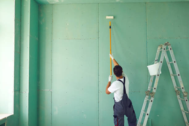 Best Mold Remediation for Healthcare Facilities  in Camp Verde, AZ